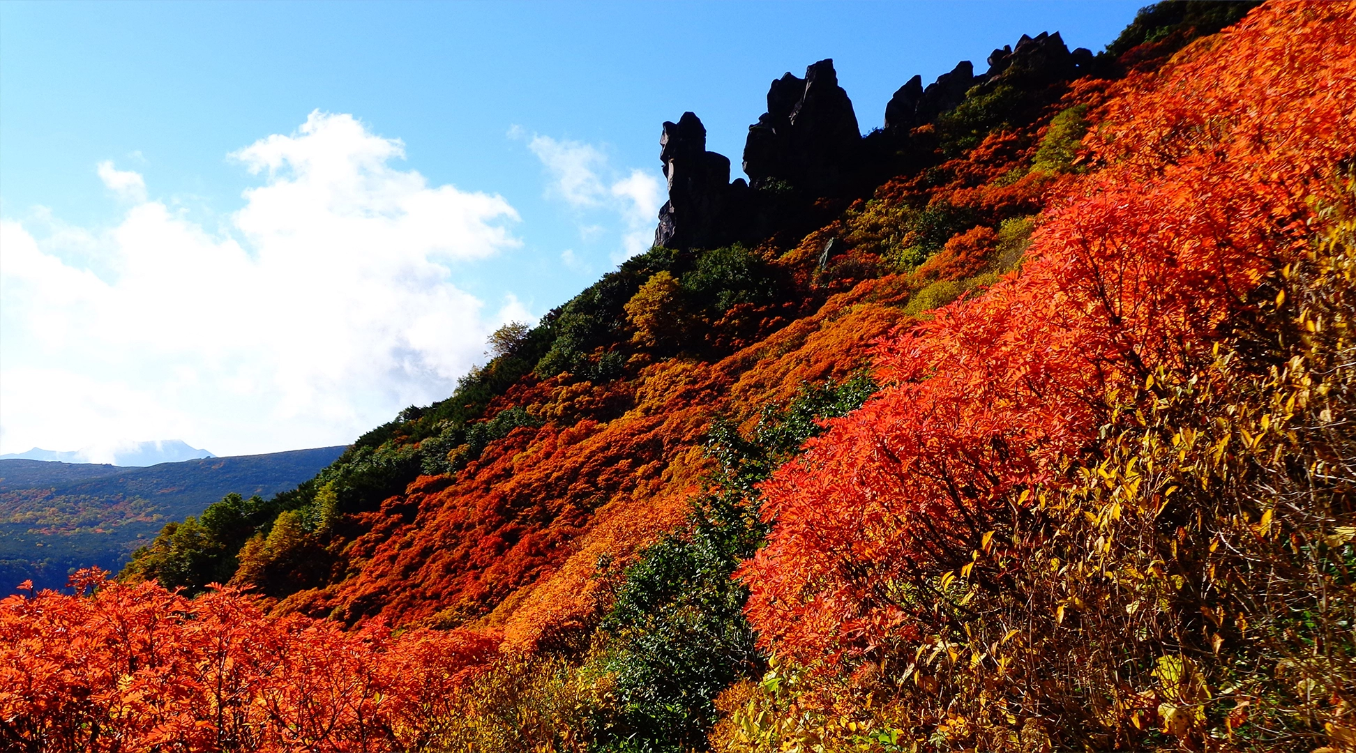 上川町の自然風景